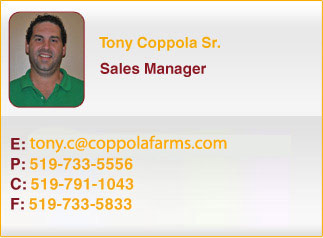 Tony Coppola Sr.